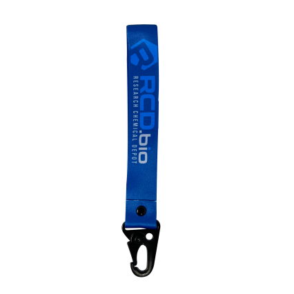 Lanyard